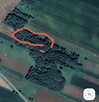 Działka leśna Krypno Kościelne Podlaskie - 4