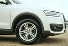 Audi Q3 BIXENON -LED parktonik NAWI alusy 17 pelna elek. klimatronik hak el. - 6