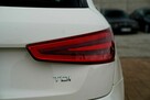 Audi Q3 BIXENON -LED parktonik NAWI alusy 17 pelna elek. klimatronik hak el. - 11