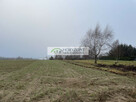 Dobrzewino - kompleks działek - 4