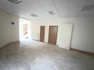 Lokal użytkowy biurowy handlowy centrum Łodzi Piotrkowska - 5