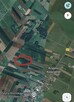 Działka leśna Krypno Kościelne Podlaskie - 5