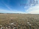 Duża działka w Słodkowie na sprzedaż - 2