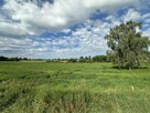 Działka Popowo Salęckie gm. Mrągowo - 8
