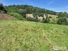 Działka inwestycyjna Solina Bukowiec - 6