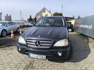Mercedes ML 270 2.7 CDi 163KM 4x4 Automat Skóra - 11