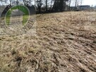 Działka budowlana Świniarsko gm. Chełmiec - 2