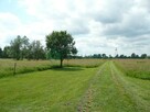 Działka rolna  gm. Baranów - 2