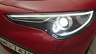 Alfa Romeo Stelvio 2.0 Turbo Veloce Q4! Z polskiego salonu! Faktura VAT! - 14