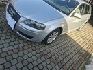Audi A3 8P 1.6 MPI Benzyna+Gaz - 2