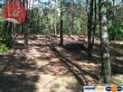 Działka w lesie 2064 m² - letniskowa i całoroczna