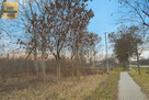 Działka inwestycyjna Piorunów gm. Błonie, - 6