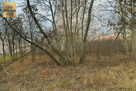 Działka inwestycyjna Piorunów gm. Błonie, - 7