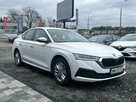 Škoda Octavia Salon Polska Poleasingowy I właściciel Serwis ASO VAT 23% Bezwypadkowy - 1