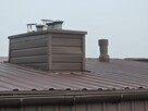 Dom jednorodzinny > 120 m2 > działka 230 m2 - 9