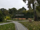 Działka inwestycyjna Słupiec gm. Szczucin - 7