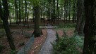 Działka inwestycyjna Słupiec gm. Szczucin - 14
