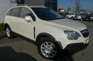 Opel Antara Pierwsza-rej 2010 - 9