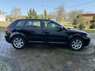 Audi A3 1.6MPI 102KM Sportback z Niemiec Zadbany Facelift - 10