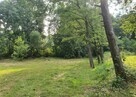 Zaciszna działka z prywatnym lasem i strumykiem: https://you - 15