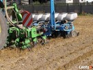 siew strip-till rzepaku, buraków, kukurydzy punktowy - 2
