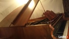 Fortepian Franz Wirth Schuler Bosendorfer-po renowacji 1894r - 6