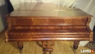 Fortepian Franz Wirth Schuler Bosendorfer-po renowacji 1894r - 2