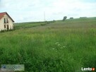 SPRZEDAM DZIAŁKĘ - 1