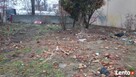 Vector-Sprzątanie Działek Terenów Rozbiórki Wywóz Śmieci - 4