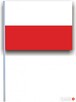 Chorągiewki Polskie biało czerwone - 2