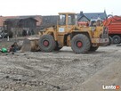 tani zwir lęborka/łeba 692 536 085 - 3