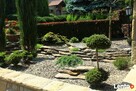 Zakładanie ogrodów - Kraków i okolice - Sungarden - 6