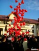 BALONY HELOWE, DEKORACJE SAL WESELNYCH - 7