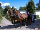 Pokoje w Węgierskiej Górce - w górach - Centrum - rzeka, las - 8