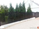 Przęsło ogrodzeniowe, płot, klasyczny wzór - 3