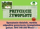 Posadzenie tui, tuje, sadzenie, tel 504-746-203, roślin, tui - 2