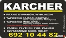 Opalenica czyszczenie pranie odgrzybianie Karcher - 1