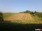 Bobliwo siedlisko grunty rolne 3 ha - 4