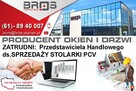 DORADCA TECHNICZNO HANDLOWY-PRZEDSTAWICIEL HANDLOWY