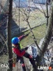 Ścinka drzew, ścinka sekcyjna prace alpinistyczne - 3