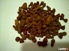 FAVORIT MIX (wołowina-drób-ryba) 15 kg PROMOCJA - 2