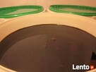 MELASA BEZ GMO! Certyfikat, numer weterynaryjny, gęsta - 2