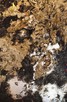 Rustic Black - fornir kamienny translucent - 2