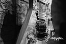 gitara elektryczna, basowa, naprawa, regulacja- lutnik - 5
