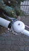 Rower Cruiser 26 cl Imperial Bike -PREZENT NA KOMUNIĘ - 3