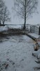 Wycinka i Karczowanie Drzew - 6