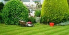 Ogrodnik Usługi Odnawianie zakładanie Trawnik z rolki - 2