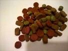 FAVORIT Wołowina 30 kg Produkt Polski 100% Zbilansowany - 2
