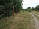 Ogrodzenia z siatki leśnej, siatka leśna, budowlane, tymczaso - 2