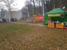 Wata cukrowa, popcorn, hot dogi, zakręcona frytka. - 3
